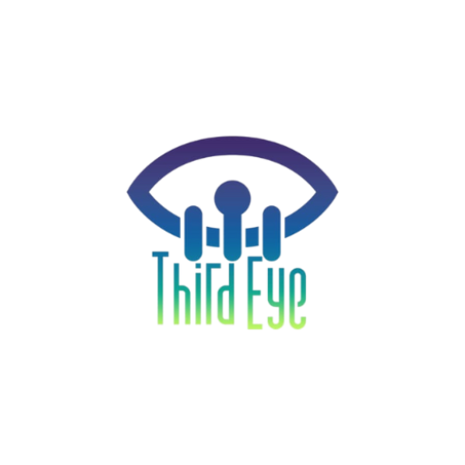 thirdeye11global.com